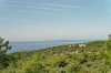 Otok SUSAK > Blick oberhalb von Mali Losinj