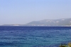 Otok CRES > U. Merascica