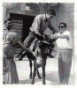 Punat, ich am Esel 1963