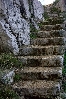 VRSAR > Steinbruch > Treppe VRSAR > Steinbruch > Treppe