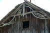 Lonjsko Polje 000 6