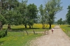 Im Naturpark Lonjsko Polje 8