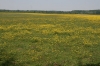 Im Naturpark Lonjsko Polje 9