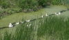 Naturpark Lonjsko Polje 7