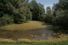 Im Naturpark Lonjsko Polje 9