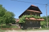 Krapje 10