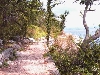 Otok KRK > Omisalj > Strandweg unterhalb von Omisalj Otok KRK > Omisalj > Strandweg unterhalb von Omisalj