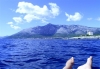 Füße (Sestrice vor Peljesac)