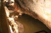 POSTOJNA > Adelsberger Grotten - Postojnska jama > Höhlenausgang - Karstfluss Pivka