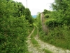 Machu Picchu 5