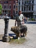 VENÉZIA > Stadtbesichtigung > Gerd mit Farkasch