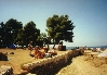 POREC > Borik > Strand Pical