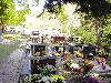 BERAM > Friedhof bei der Kapelle St. Maria auf den Steintafeln