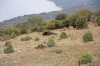 Otok CRES > Valun > Unterwegs nach Valun Otok CRES > Valun > Unterwegs nach Valun