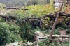 Otok CRES > Pernat > Garten Otok CRES > Pernat > Garten