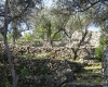 Otok Cres > Valun > Impressionen