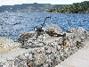 Otok CRES > Valun > Hafen Otok CRES > Valun > Hafen