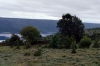Otok CRES > Vransko Jezero > Rund um den Vransko Jezero Otok CRES > Vransko Jezero > Rund um den Vransko Jezero
