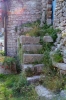 Otok CRES > Osor > Treppe Otok CRES > Osor > Treppe