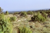Otok CRES > auf dem Weg zur Majka Bozja od Loze Otok CRES > auf dem Weg zur Majka Bozja od Loze