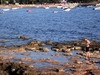 Camping Park Umag Camping Park Umag