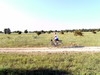 Campingpark Umag Campingpark Umag