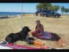 Camping Park Umag Hundestrand 4