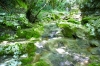 Naturpark Skarline > Wanderweg des Hl. Zenon 2