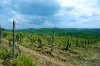 Naturpark Skarline > Wanderweg des Hl. Zenon 10