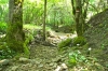 Naturpark Skarline > Wanderweg des Hl. Zenon Naturpark Skarline > Wanderweg des Hl. Zenon