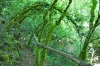 Naturpark Skarline > Wanderweg des Hl. Zenon 10 Naturpark Skarline > Wanderweg des Hl. Zenon 10