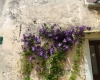 Bale > Bilder aus der Stadt Bale > Bilder aus der Stadt