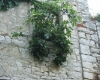 Bale > Bilder aus der Stadt Bale > Bilder aus der Stadt
