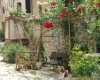 Bale > Bilder aus der Stadt Bale > Bilder aus der Stadt