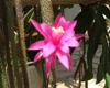 Bale > Bilder aus der Stadt Bale > Bilder aus der Stadt