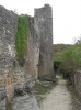 Istrien>Dvigrad>Ruinen 2