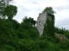 DVIGRAD > Natur-01