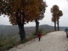 Motovun Nov. 2011