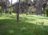 Autocamp Medulin zu Ostern 2 Autocamp Medulin zu Ostern 2