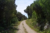 RABAC > Wanderung zum Strand Bounty_12 > Feldweg am Berghang