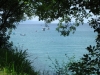 Meer Meer