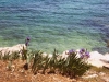 Strandstruktur (Sandstrand?)  Rabac 4