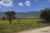 Landschaft im heissen Tal zwischen Pazin und Krsan