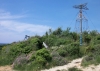 Kamenjak Mai 2008 6