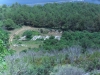 2011-06 Premantura> Monte Kope 2