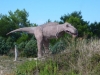 Kap Kamenjak - Dinopark 5
