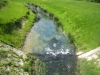 Rasakanal 5