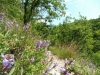 Wanderung Krapan 5