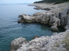 Duga luka prtlog Duga luka prtlog