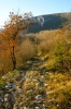 Istarske Toplice > Wanderung nach Sovinjak 3